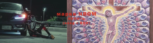 MDMA Новозыбков
