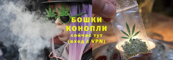 прущие грибы Нефтекумск