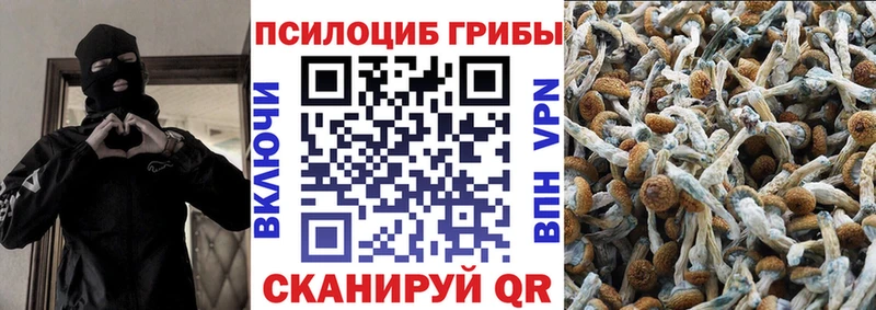 Галлюциногенные грибы Psilocybine cubensis  сколько стоит  Сосновка 